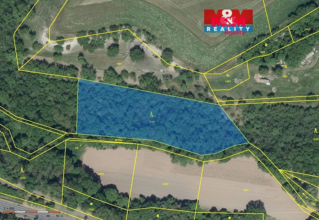 Prodej lesa 6203 m²